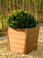 Jardini�re bois exotique