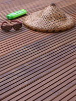 Lames ip� � gorges clips 1.85m